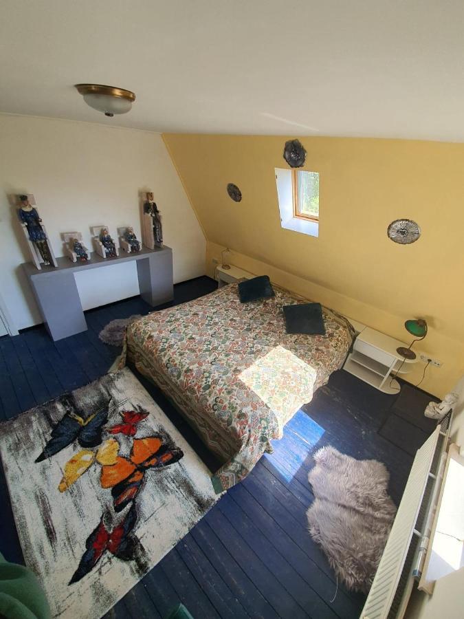 Bed and Breakfast De Vliegende Vlinder Nederweert Zewnętrze zdjęcie
