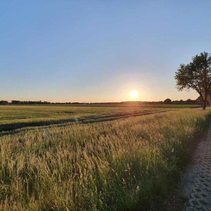 Bed and Breakfast De Vliegende Vlinder Nederweert Zewnętrze zdjęcie