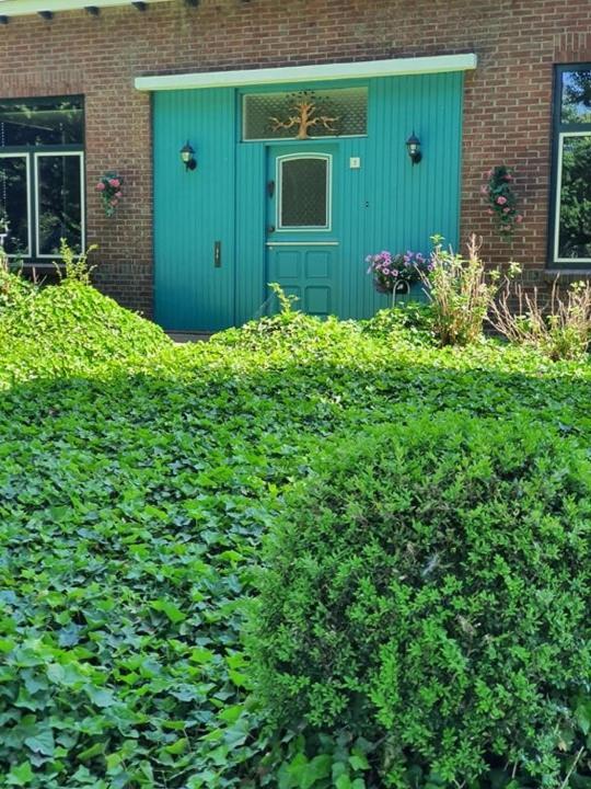 Bed and Breakfast De Vliegende Vlinder Nederweert Zewnętrze zdjęcie