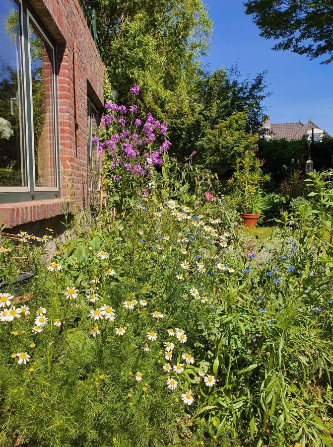 Bed and Breakfast De Vliegende Vlinder Nederweert Zewnętrze zdjęcie